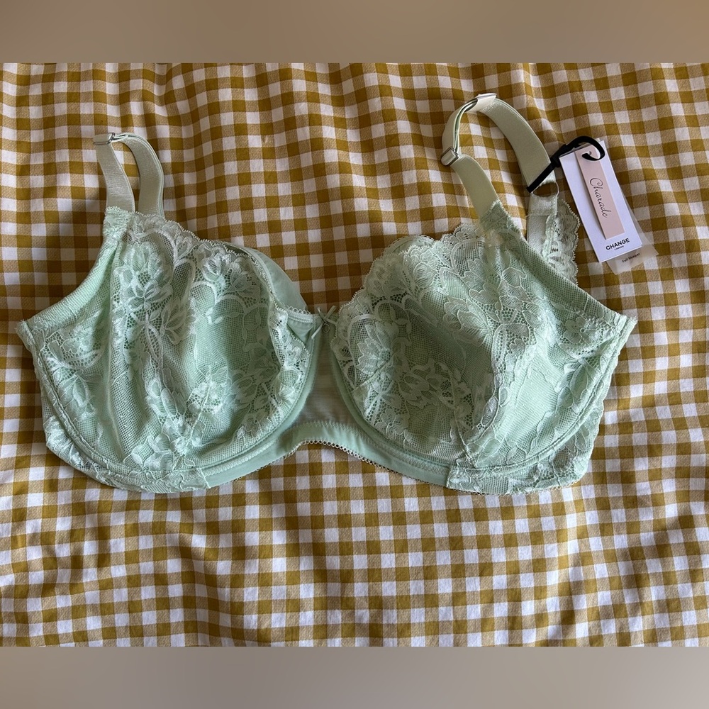 Change Lingerie Avery Women's Lace Bra - Soft Green